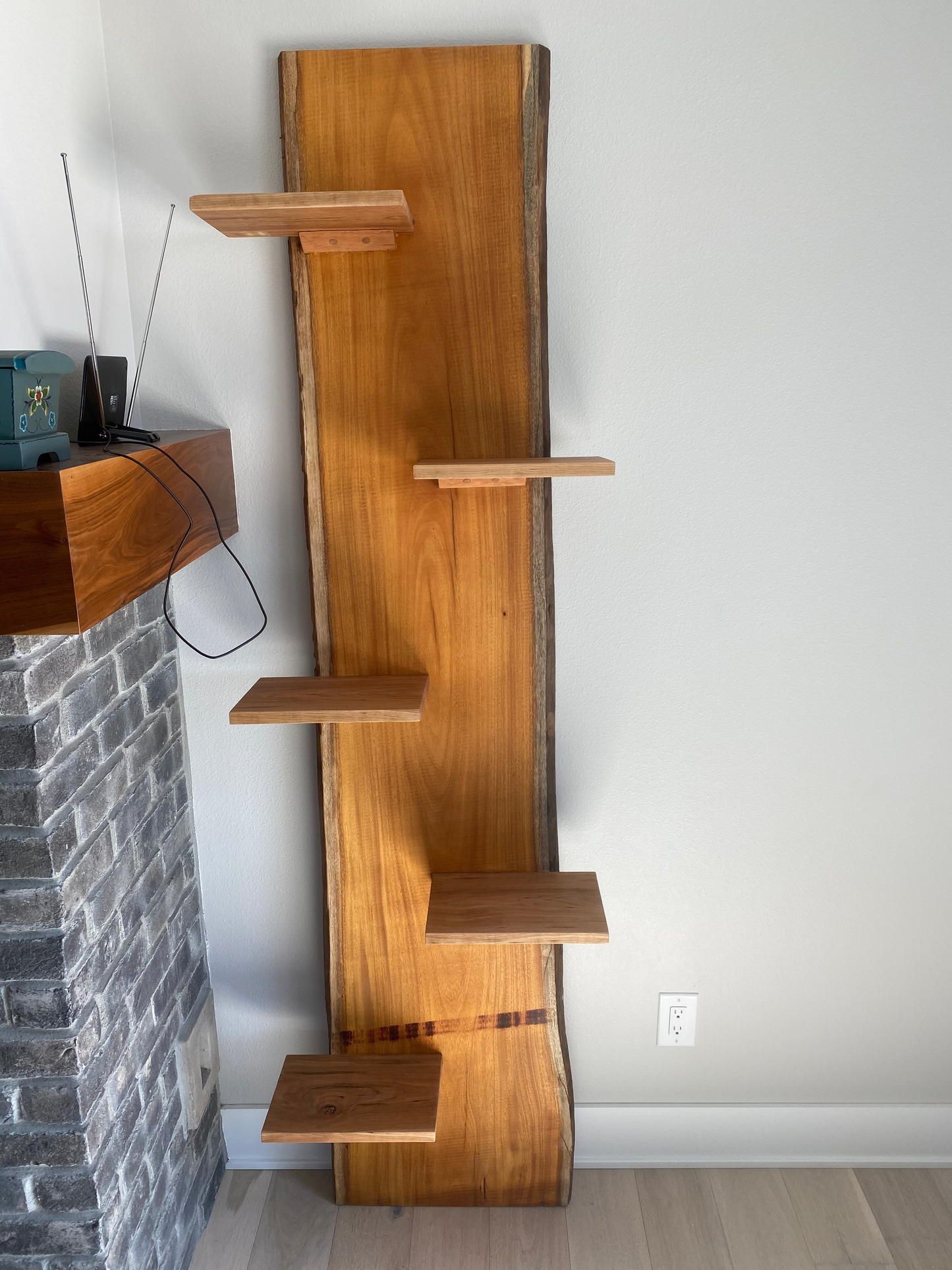 Live Edge Shelf